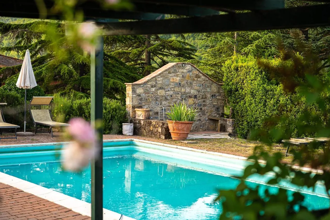 Villa Rosa Panzano Panzano in Chianti 0*,  Italië